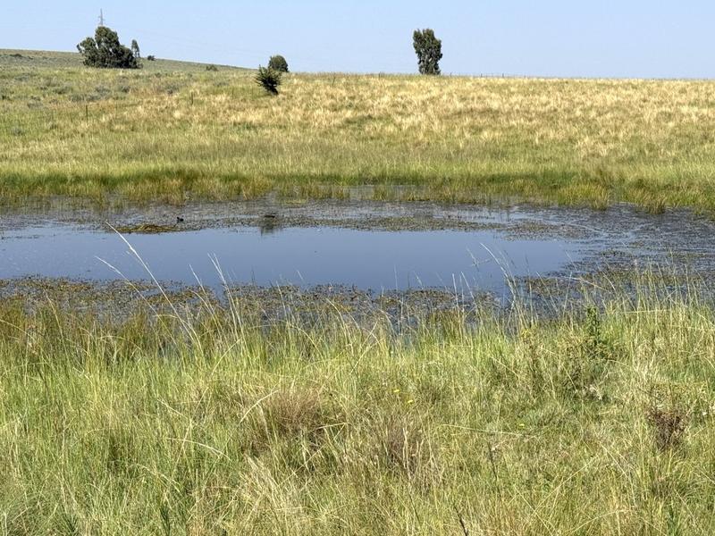 0 Bedroom Property for Sale in Bethlehem Rural Free State